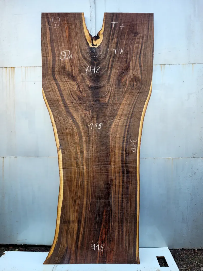 Unique grain pattern of an American walnut slab