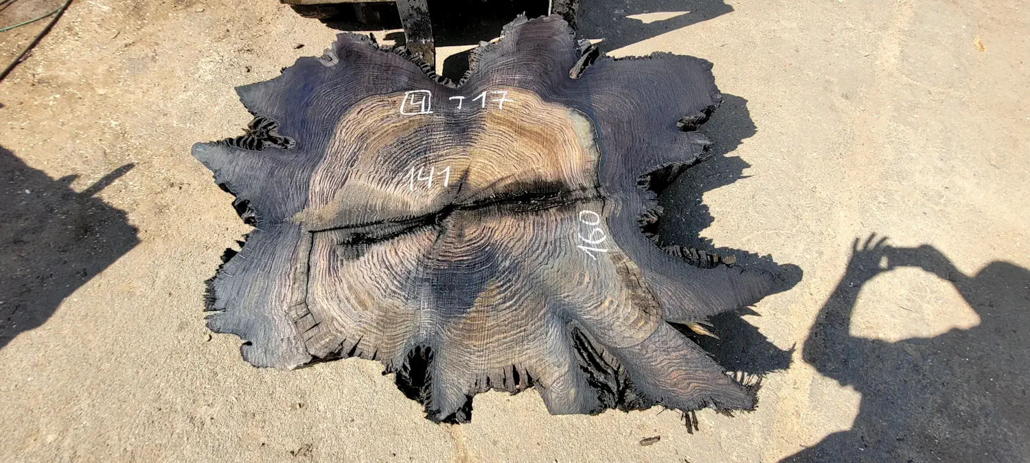 Round bog oak slab #4