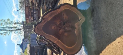 Горіх круг #6