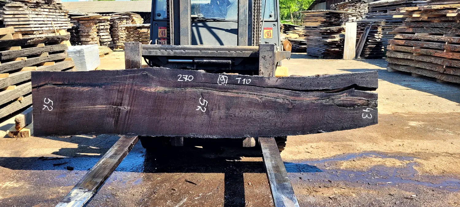 Bog oak #9