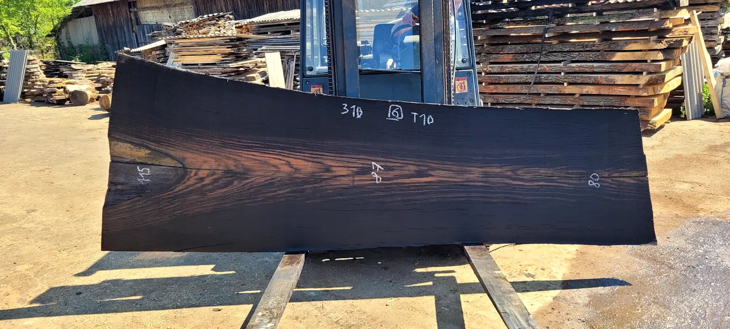 Bog oak #6