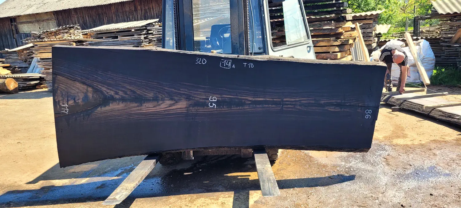 Bog oak #14А