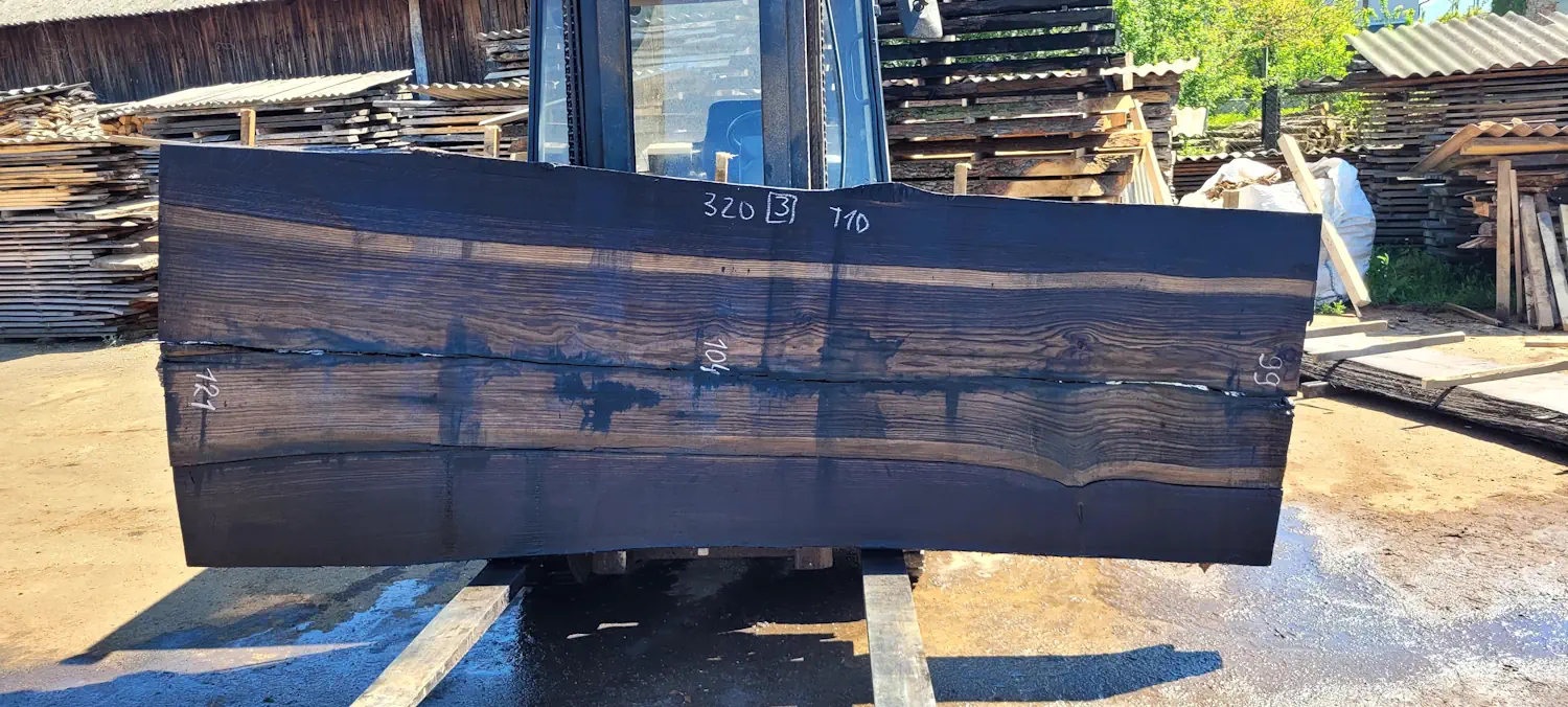 Bog oak #3