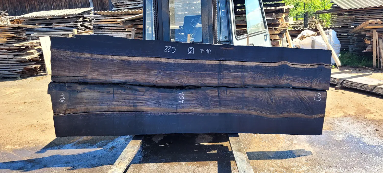 Bog oak #2
