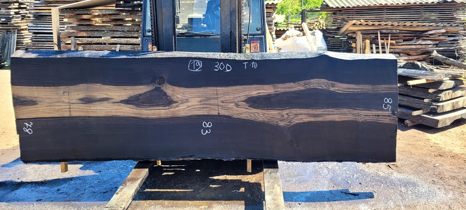 Bog oak #19