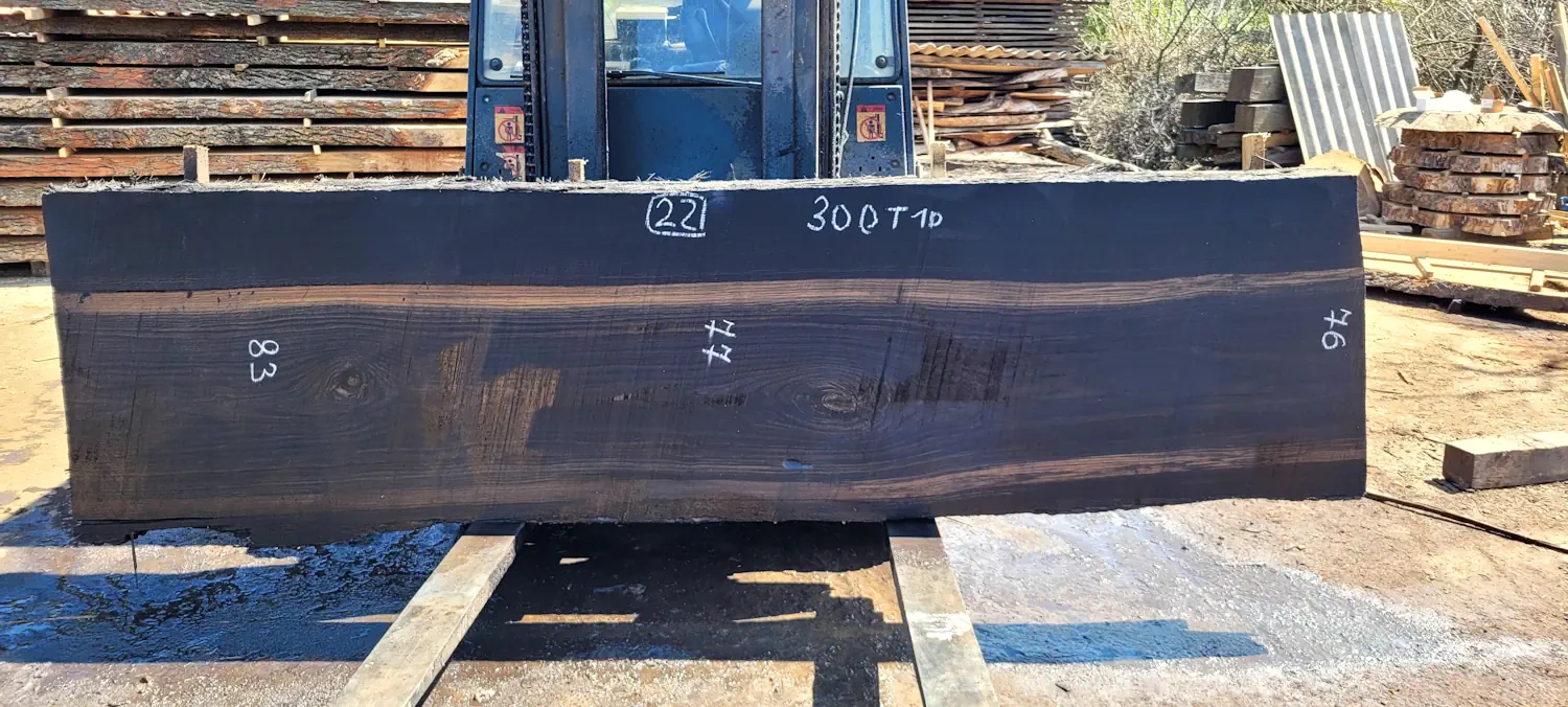 Bog oak #22