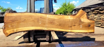 Walnut #9