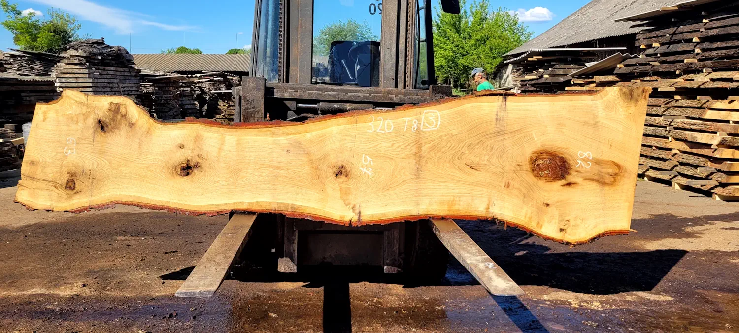 Oak #3