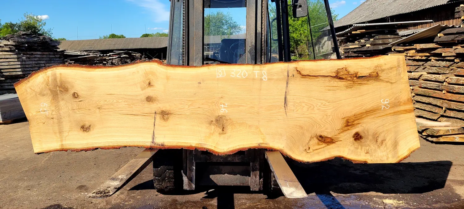 Oak #8