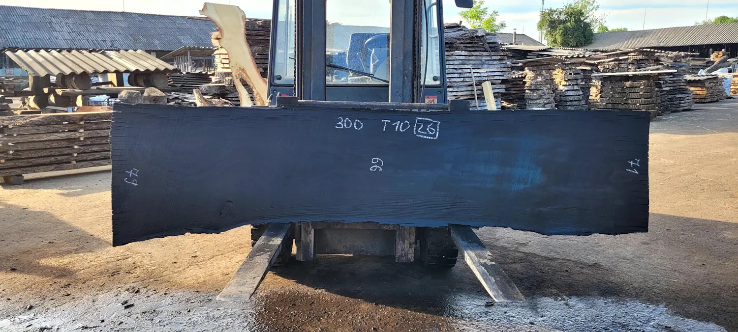 Bog oak #26