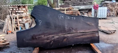 Bog oak #34