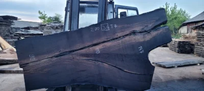 Bog oak #36