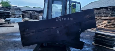 Морений дуб #38