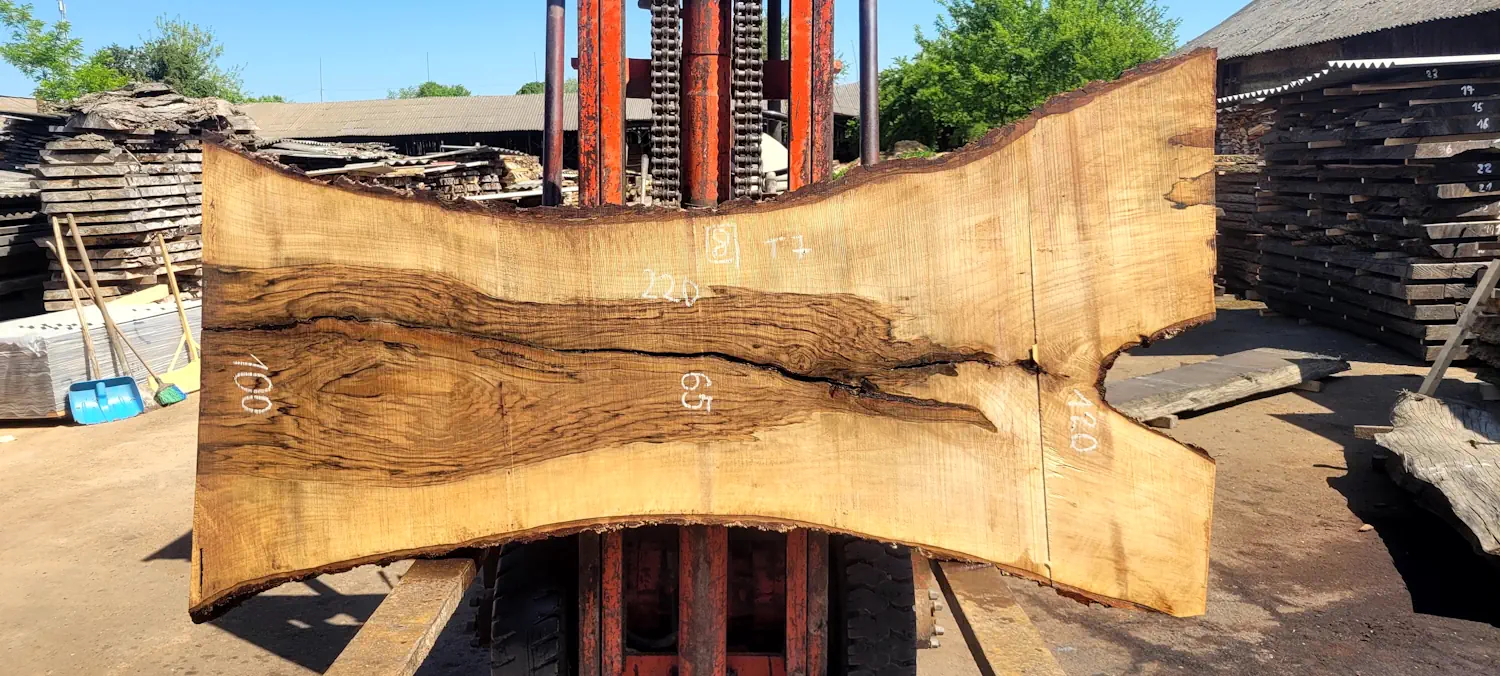 Walnut #8