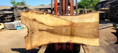 Walnut #10