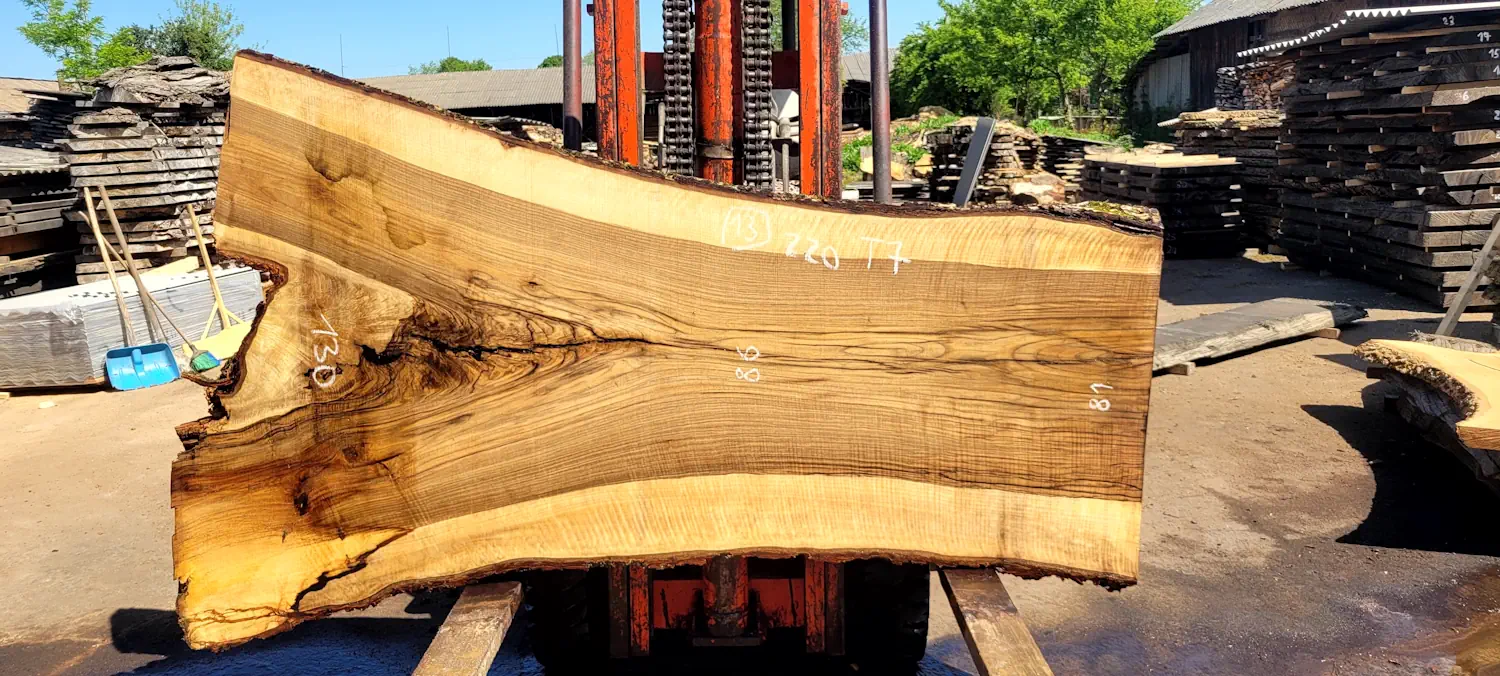 Walnut #13
