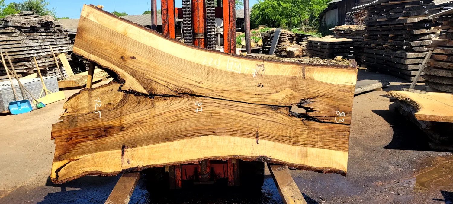 Walnut #14