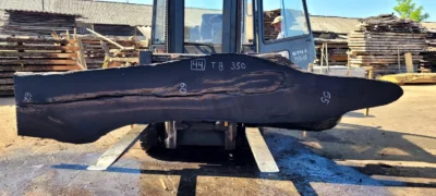Bog oak #44