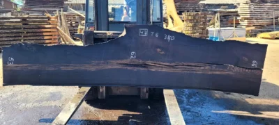 Bog oak #47