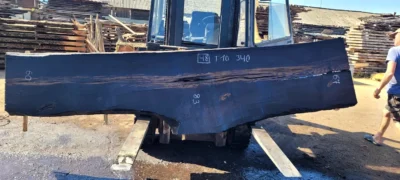 Bog oak #48