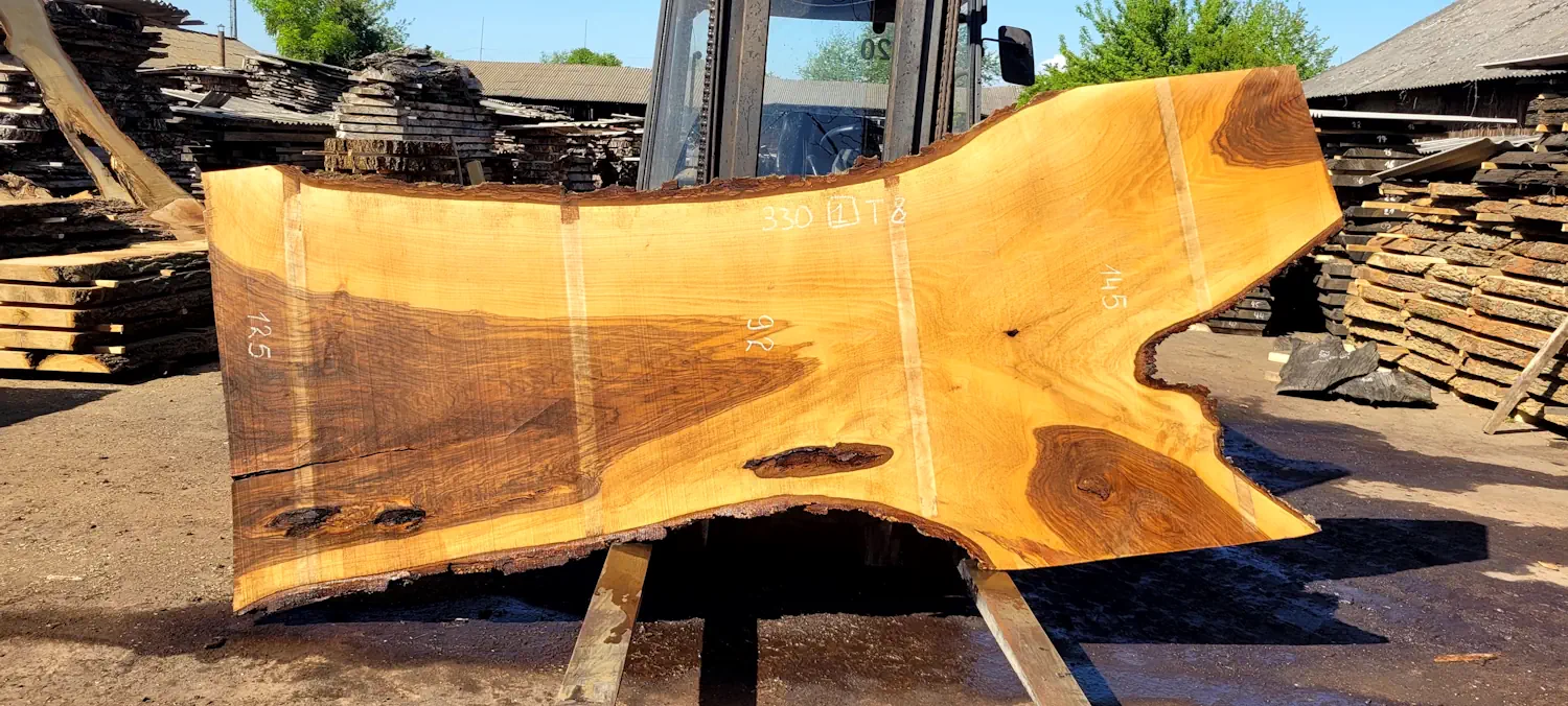 Walnut #1