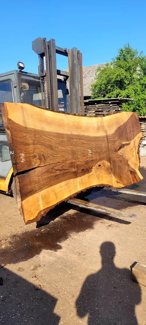 Walnut #2 - Image 2