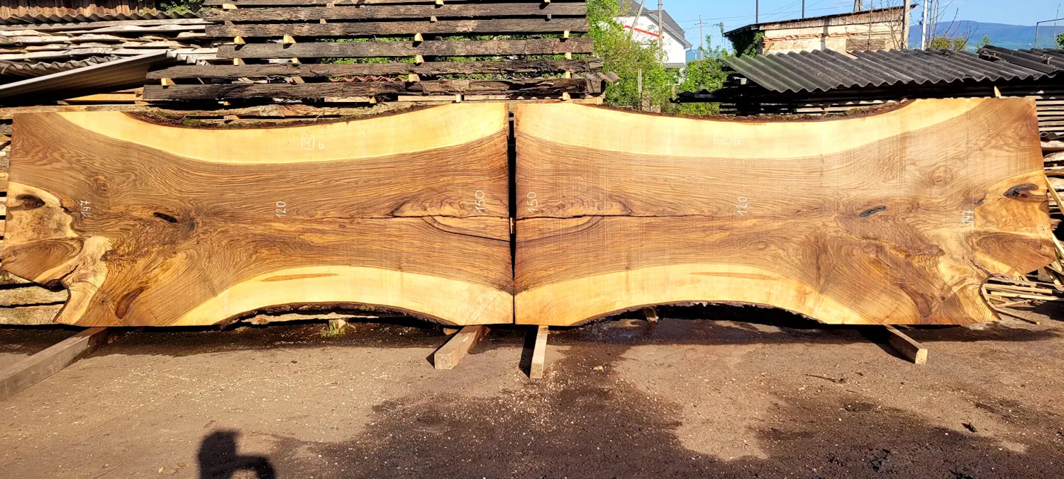Walnut two #1