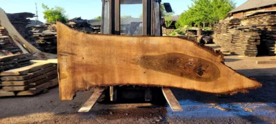 Walnut #10
