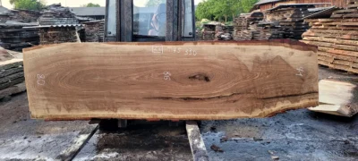 Oak #22