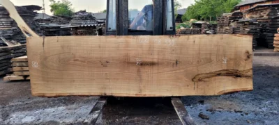 Oak #22