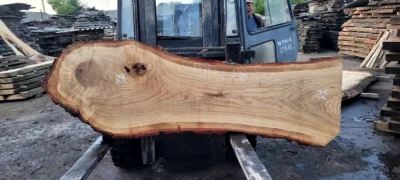 Oak #23