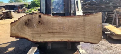 Oak #32