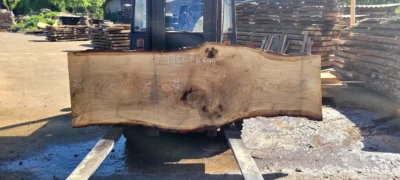 Oak #35