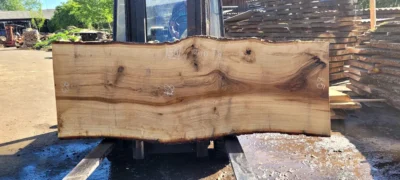 Oak #36