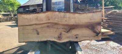 Oak #38