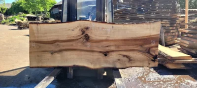 Oak #39