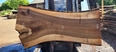 Walnut #20