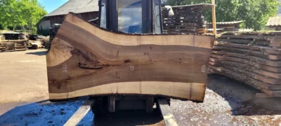 Walnut #22