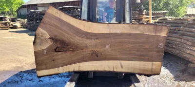 Walnut #23