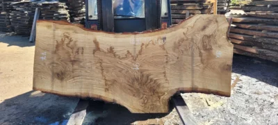 Oak #34