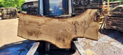 Oak #44