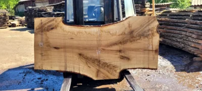 Oak #46