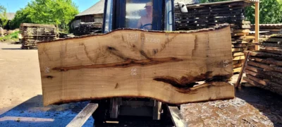 Oak #51
