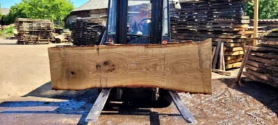 Oak #55