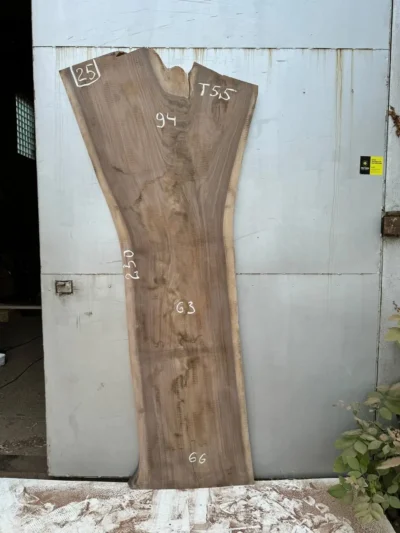 American walnut #25
