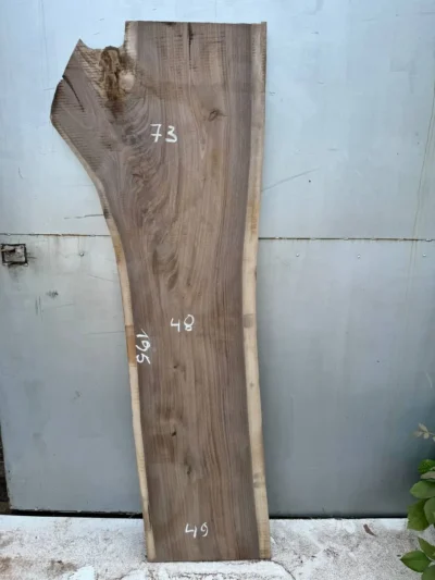 American walnut #