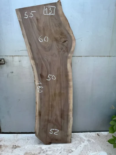 American walnut #13