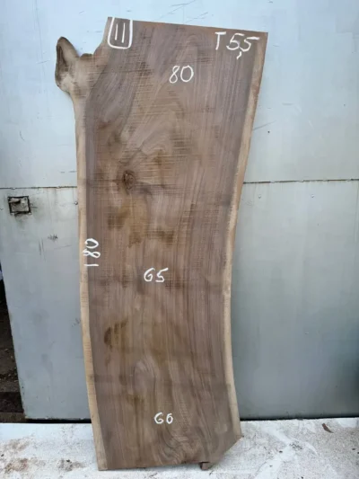 American walnut #11