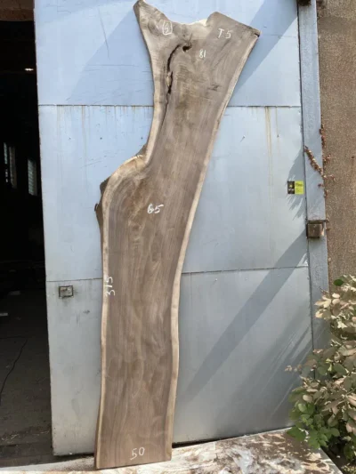 American walnut #6(2)