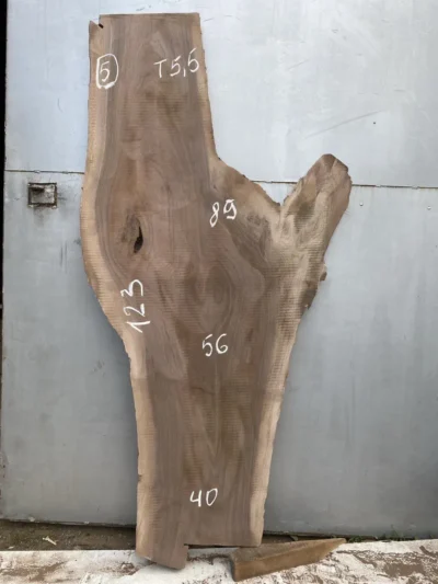 American walnut #5(1)